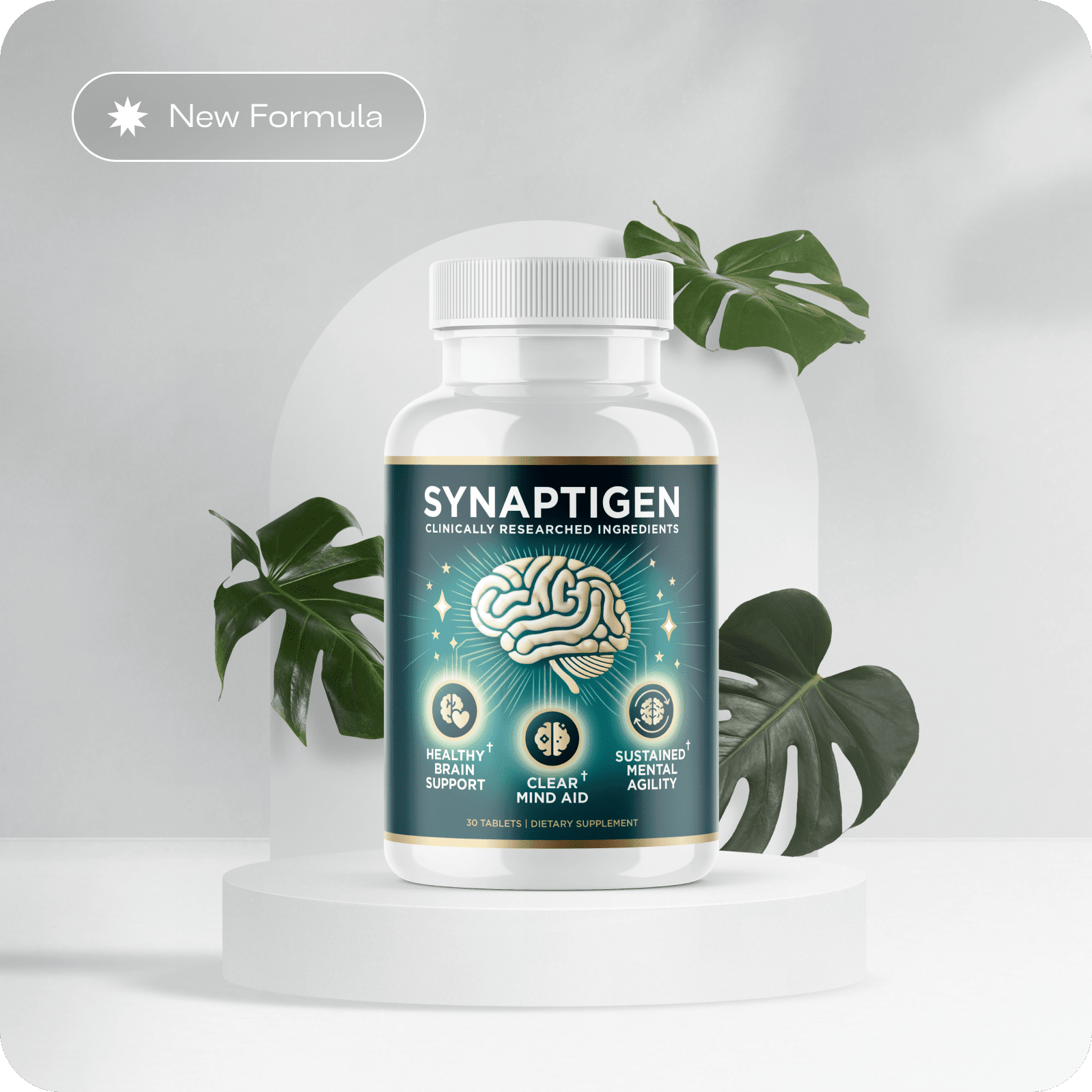 Synaptigen brain support